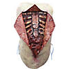Autopsy Vest Image 2