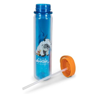 Avatar: The Last Airbender Aang and Appa Water Bottle  Holds 16 Ounces Image 1