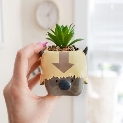 Avatar: The Last Airbender Appa 6-Inch Ceramic Planter With Artificial Succulent Image 2