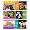 Baby Animals Faith Messages Poster Set - 6 Pc. Image 1