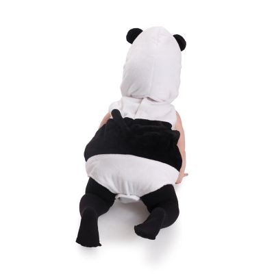Baby Panda Costume - 0-6 Months Image 2