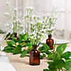 Baby&#8217;s Breath & 4" Amber Bud Vases Table Decorating Kit for 6 Tables Image 1