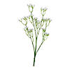 Baby&#8217;s Breath Faux Floral Stems - 6 Pc. Image 1