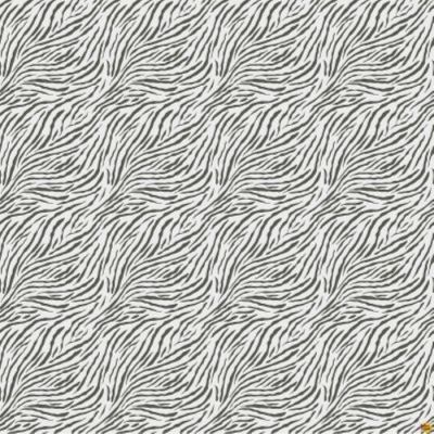 Baby Safari Zebra Stripes Childrens Cotton Fabric by Northcott Image 1