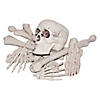 Bag Of Bones Image 1