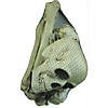 Bag Of Bones Image 1