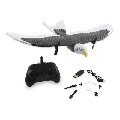 Bald Eagle R/C 2.4GHz Remote Control Airplane Image 1