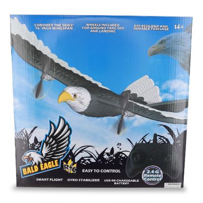 Bald Eagle R/C 2.4GHz Remote Control Airplane Image 1