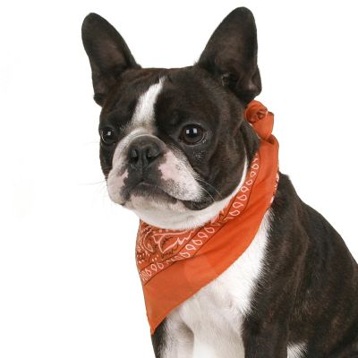 Balec Pack of 2 Paisley Cotton Dog Bandana Triangle Shape  - One Size Fits Most (Orange) Image 1