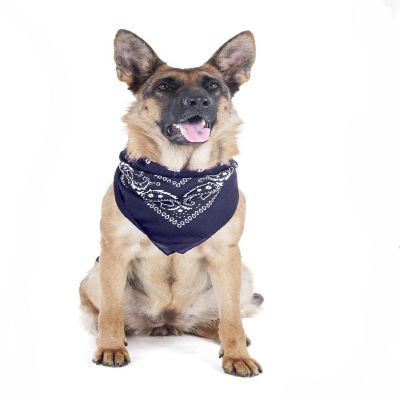 Balec Paisley Polyester Pets 6 Pack Dogs Bandana Triangle Shape  - Oversized (Blue) Image 1