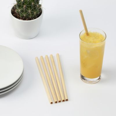Bamboo Straws, Set of 10 Image 1