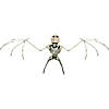 Bat Skeleton Image 1