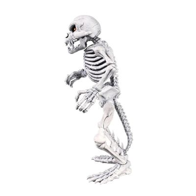 Battletoads Anthology Collection 7-Inch Action Figure  Rat Bones Image 1