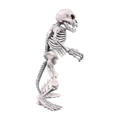 Battletoads Anthology Collection 7-Inch Action Figure  Rat Bones Image 3