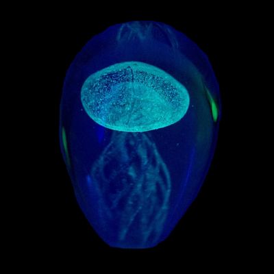 Beachcombers Clear Jellyfish Glass Glow in the Dark Paperweight Figurine 5.5 Inch Image 1