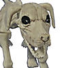 Beagle Bonez Dog Skeleton Halloween Decoration Image 1