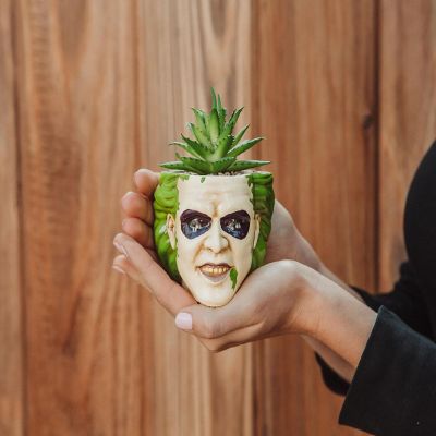 Beetlejuice Head 3-Inch Ceramic Mini Planter with Artificial Succulent Image 2