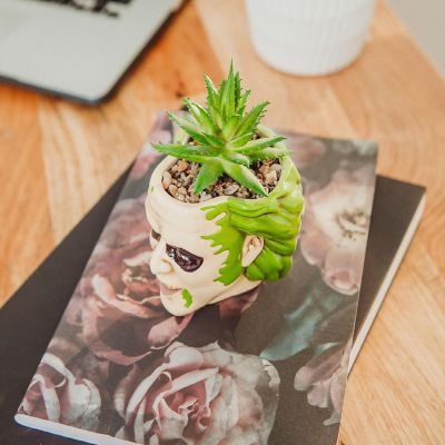 Beetlejuice Head 3-Inch Ceramic Mini Planter with Artificial Succulent Image 3