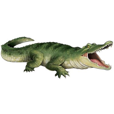 Beistle - 14" x 3' 4&amp;#188;" Jointed Crocodile - 12 Pack Image 1