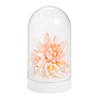 Bell Jar Decoration Displays - 3 Pc. Image 1