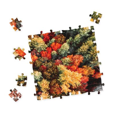BePuzzled Impossibles Puzzle - Falling for Fall: 1000 Pcs Image 3