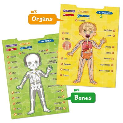 BEST LEARNING i-Poster My Body - Interactive Educational Human Anatomy Talking Game Image 3