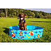 BigMouth Patterned Hard Side Dog Pool Image 3