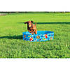 BigMouth Patterned Hard Side Dog Pool Image 4