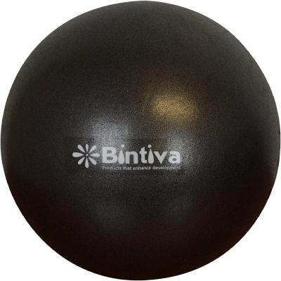 Bintiva 9 Inch Pilates Core Ball Image 1