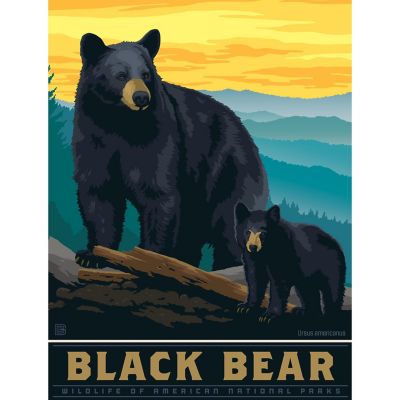 Black Bear 300 Piece Jigsaw Puzzle Image 2