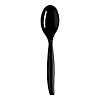 Black Disposable Plastic Serving Spoons - (75 Spoons) Image 1