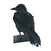 Black Raven Prop Halloween Decoration Image 1