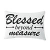 Blessed Beyond Measure Pillow Image 1