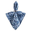 Blue Paisley Print Outdoor Napkin Set/6 Image 1