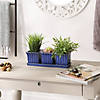 Blue Square Ceramic Small Planter (Set Of 3) Image 2
