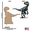 Blue the Velociraptor Jurassic World Stand-Up Image 2