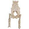 Bones the Dog Skeleton Halloween Decoration Image 1