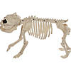 Bones the Dog Skeleton Halloween Decoration Image 2