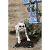 Bones the Dog Skeleton Halloween Decoration Image 4