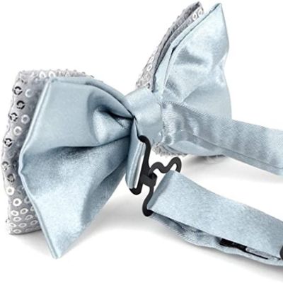 Boxed Gifts Gray 2.5 Men's  Sparkle Ties Image 2