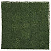 Boxwood Wall Decorating Kit - 26 Pc. Image 1