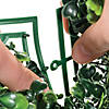 Boxwood Wall Decorating Kit - 26 Pc. Image 3