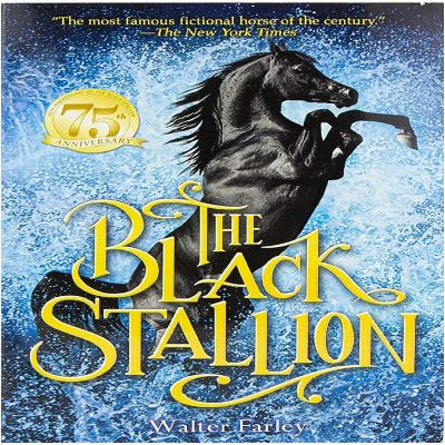 Breyer The Black Stallion Model Horse and Book Set Image 2