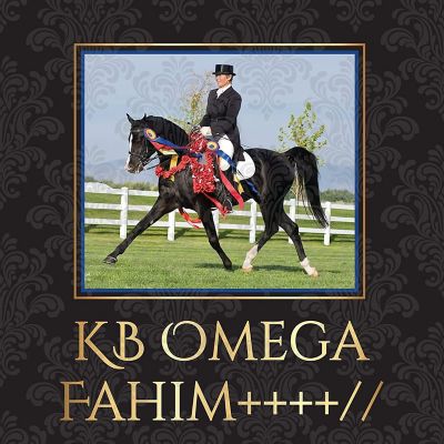 Breyer Traditional 1:9 Scale Model Horse  KB Omega Fahim Image 2