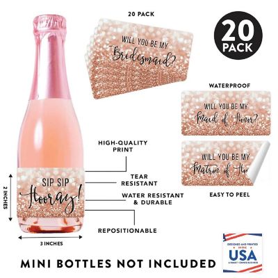 Bridesmaid Proposal Rose Gold 20pk Image 1