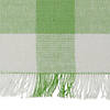 Bright Green Heavyweight Check Fringed Placemat (Set Of 6) Image 3