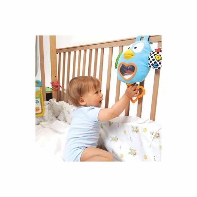 Brilliant Beginnings: Teaching Talking Owl, 6 Months+ Image 1