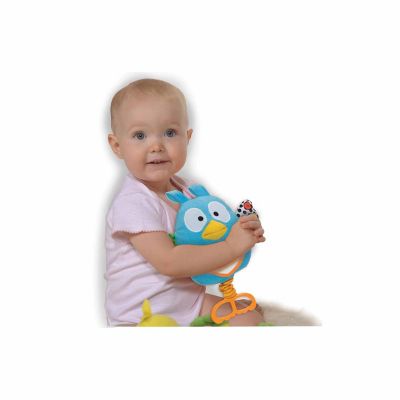 Brilliant Beginnings: Teaching Talking Owl, 6 Months+ Image 3