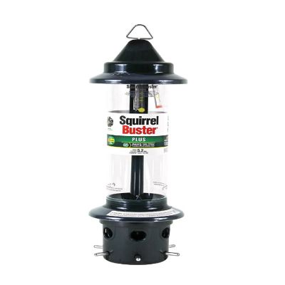 Brome Squirrel Buster Plus Bird Feeder w Cardinal Perch Ring 1024 - Squirrel Proof Image 1