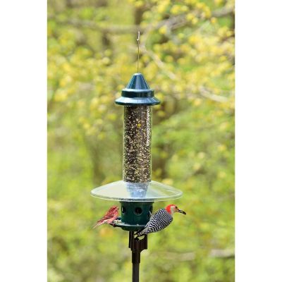 Brome Squirrel Buster Pole Adaptor for Squirrel Buster Plus Bird Feeder Image 3